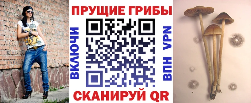 что такое наркотик  Арзамас  Галлюциногенные грибы ЛСД 